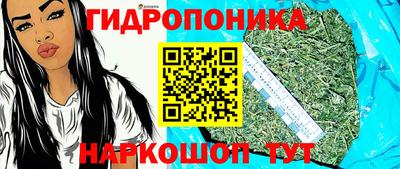 твердый Шелехов
