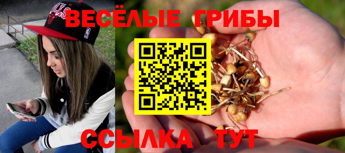 Псилоцибиновые грибы прущие грибы  Вход с VPN  Мыски 